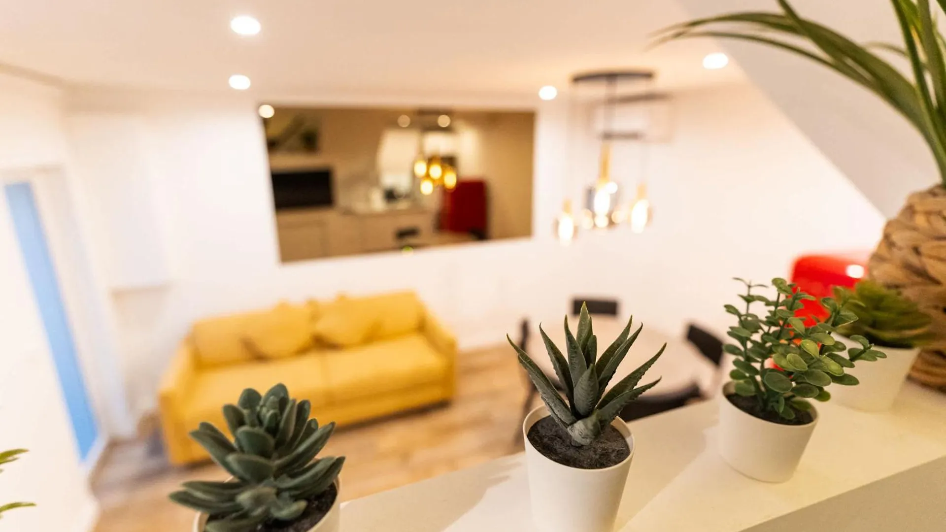Town House Nation, Bastille, Ac By Lcc Agency